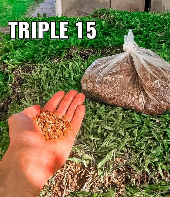 triple 15